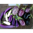 Eggplants.jpg